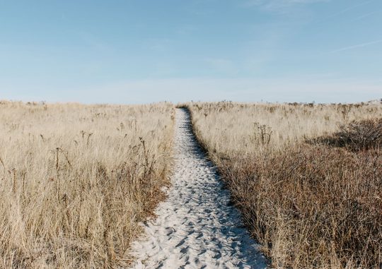 Sand pathway surrounded by grass,