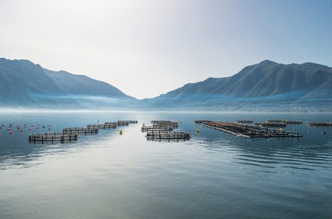A fish farm in front of mountains