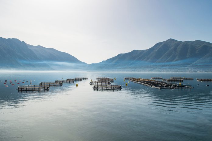 A fish farm in front of mountains