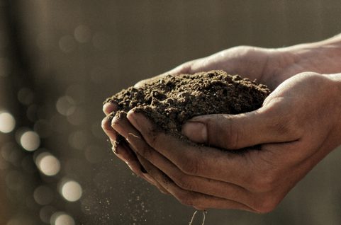 Hands holding sand. Blurry background.